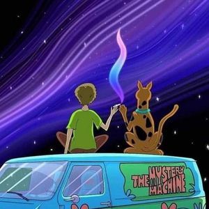 Meet your Posher, Janette